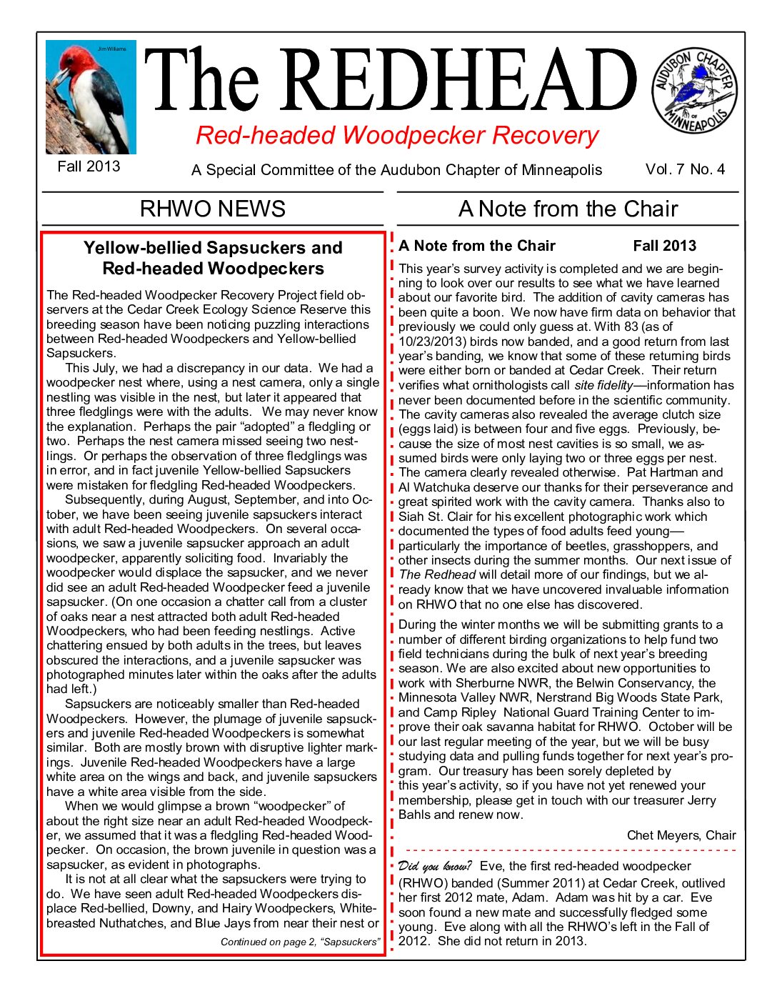 example newsletter.