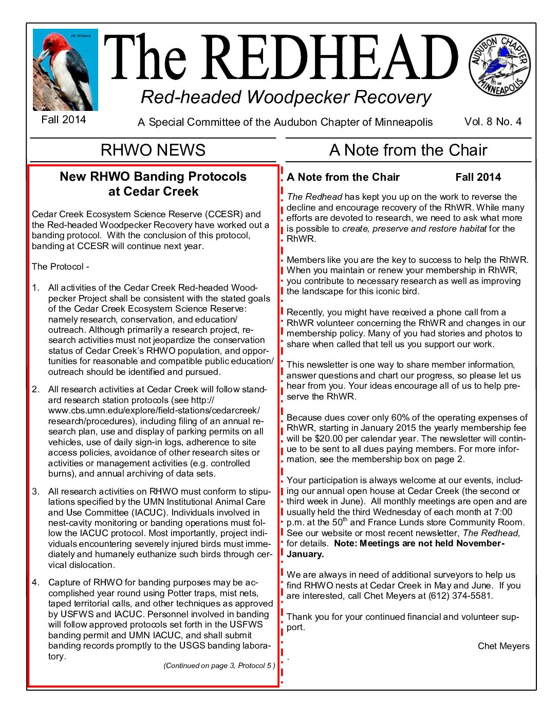 example newsletter.