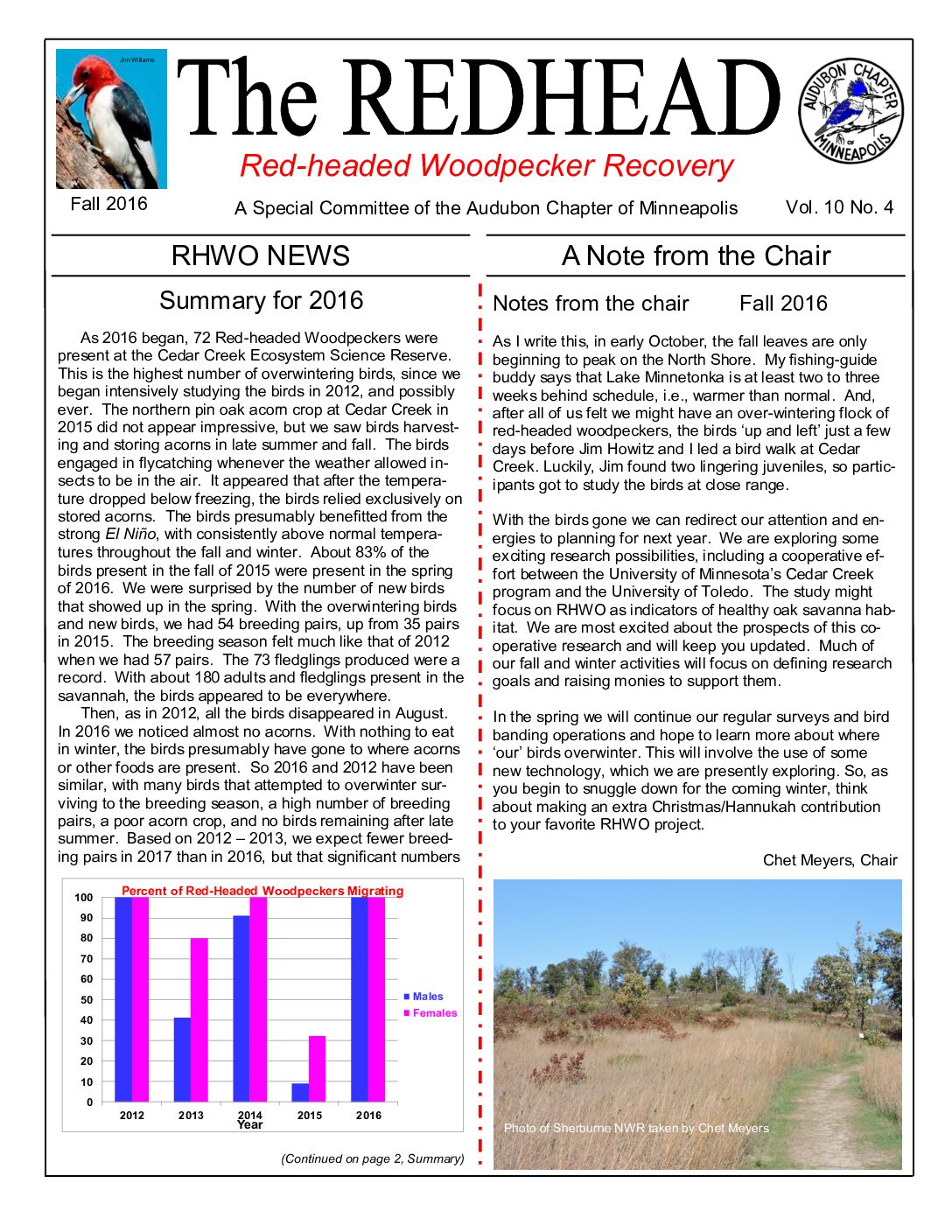 example newsletter.