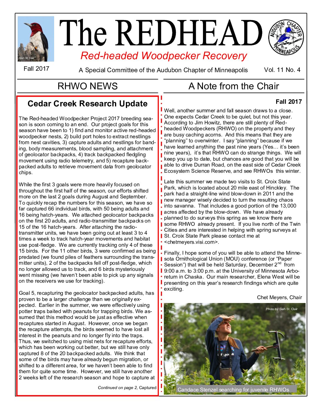 example newsletter.
