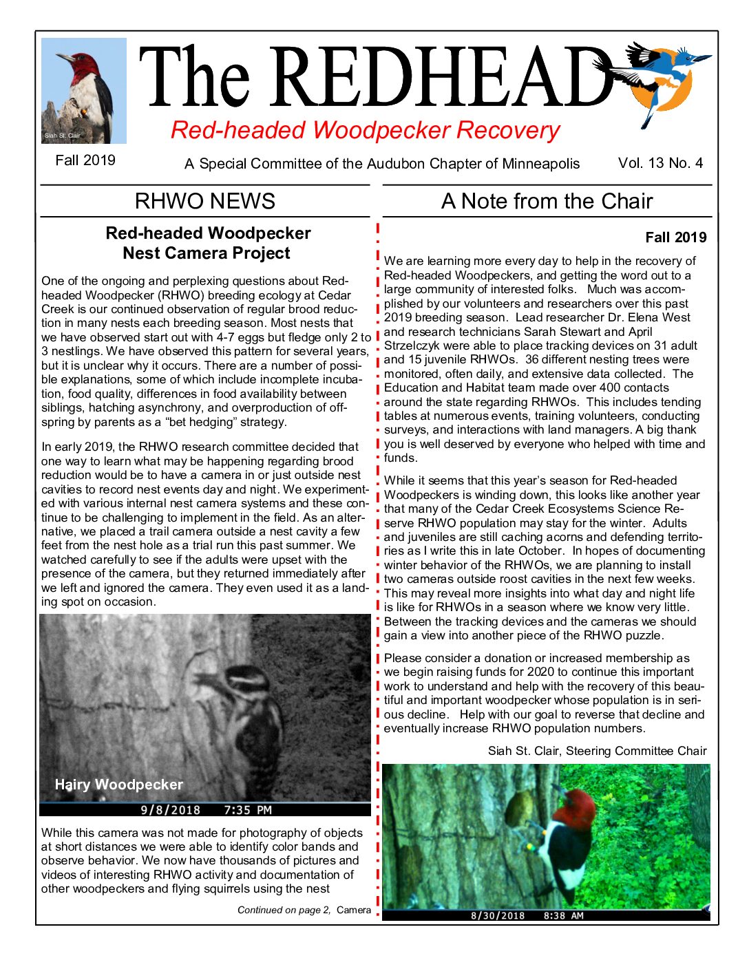 example newsletter.