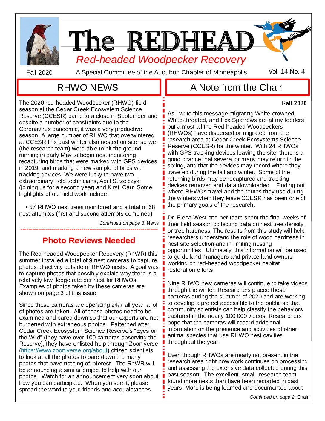 example newsletter.