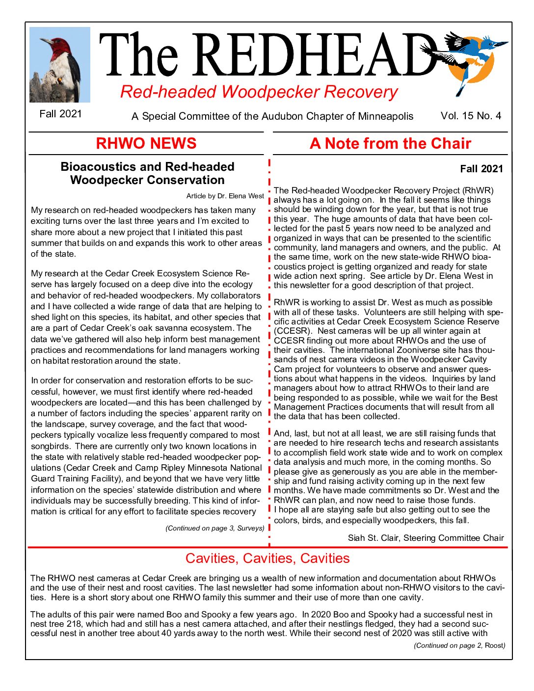 example newsletter.