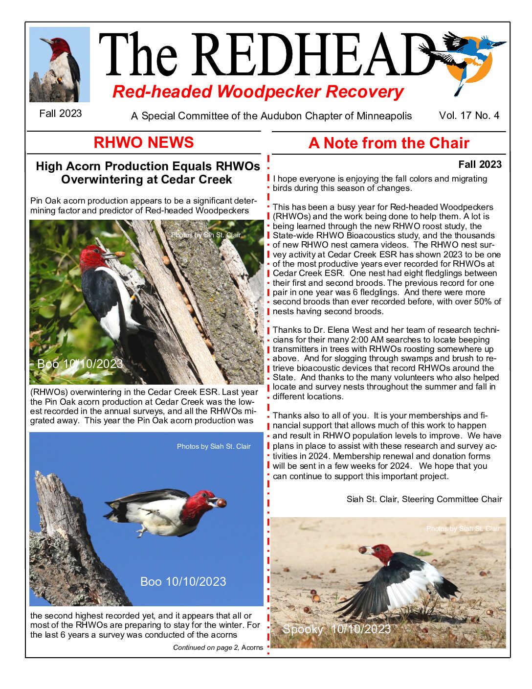example newsletter.