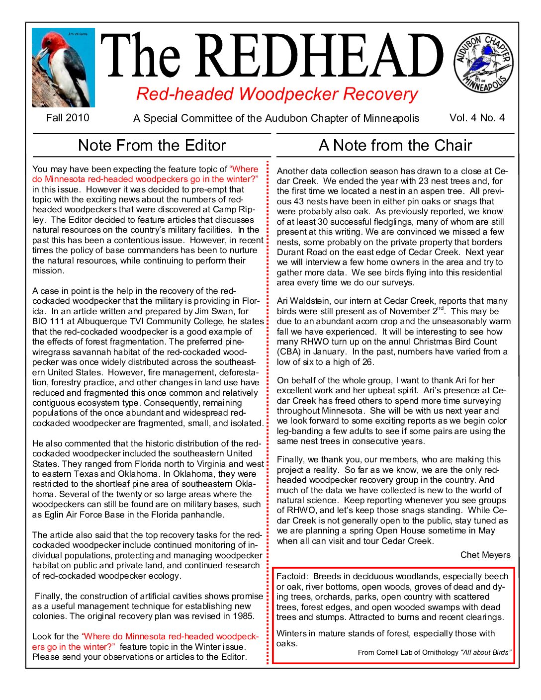 example newsletter.