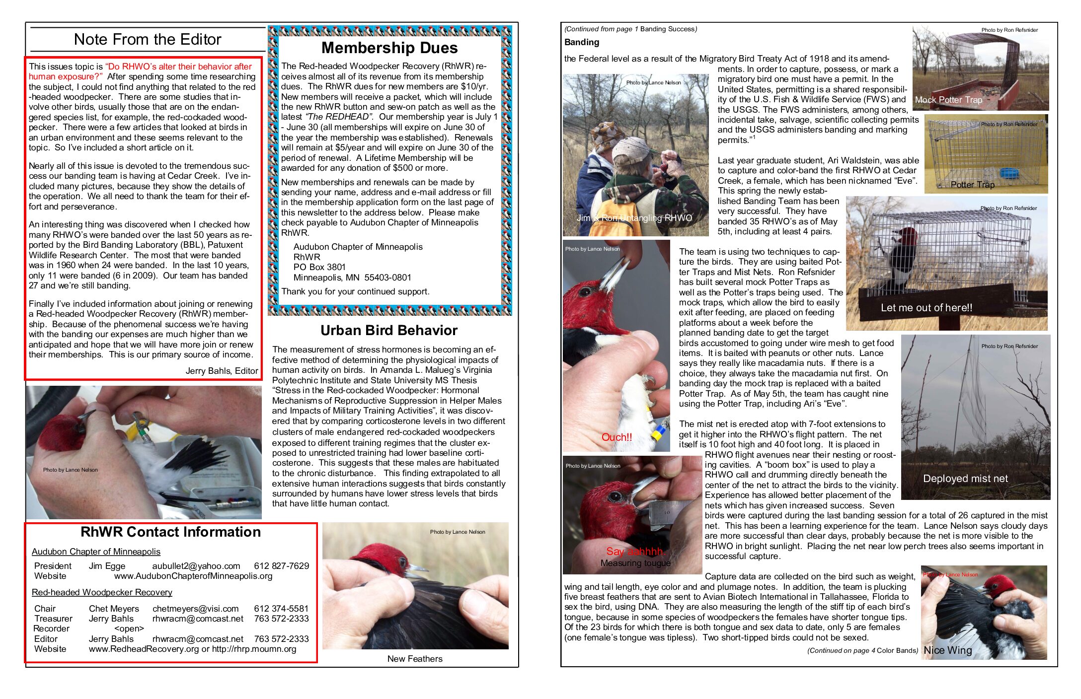 example newsletter.