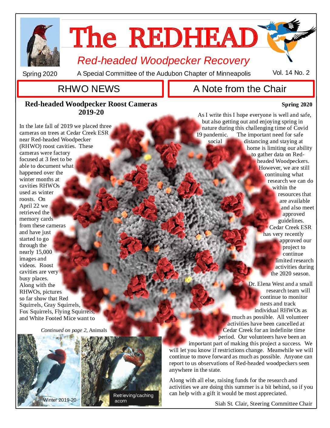 example newsletter.