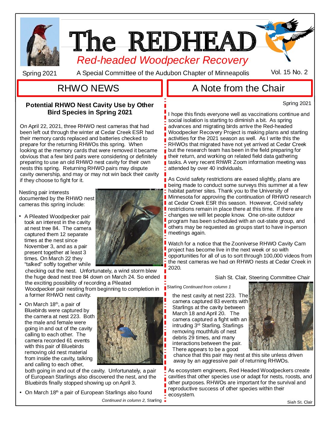 example newsletter.
