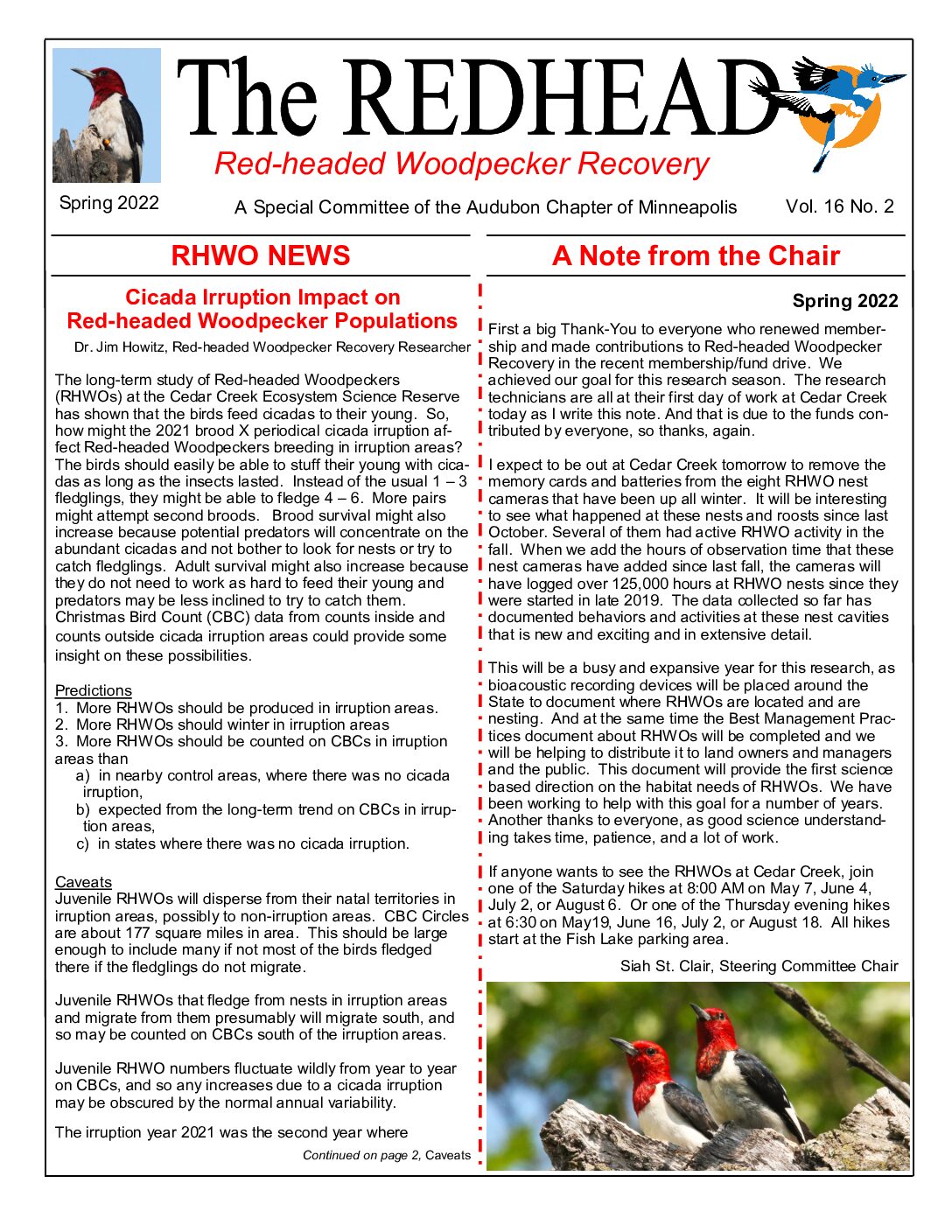 example newsletter.