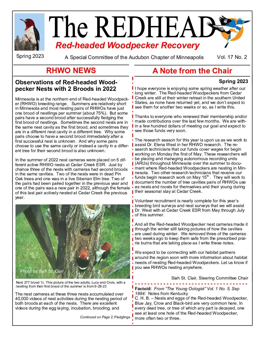 example newsletter.