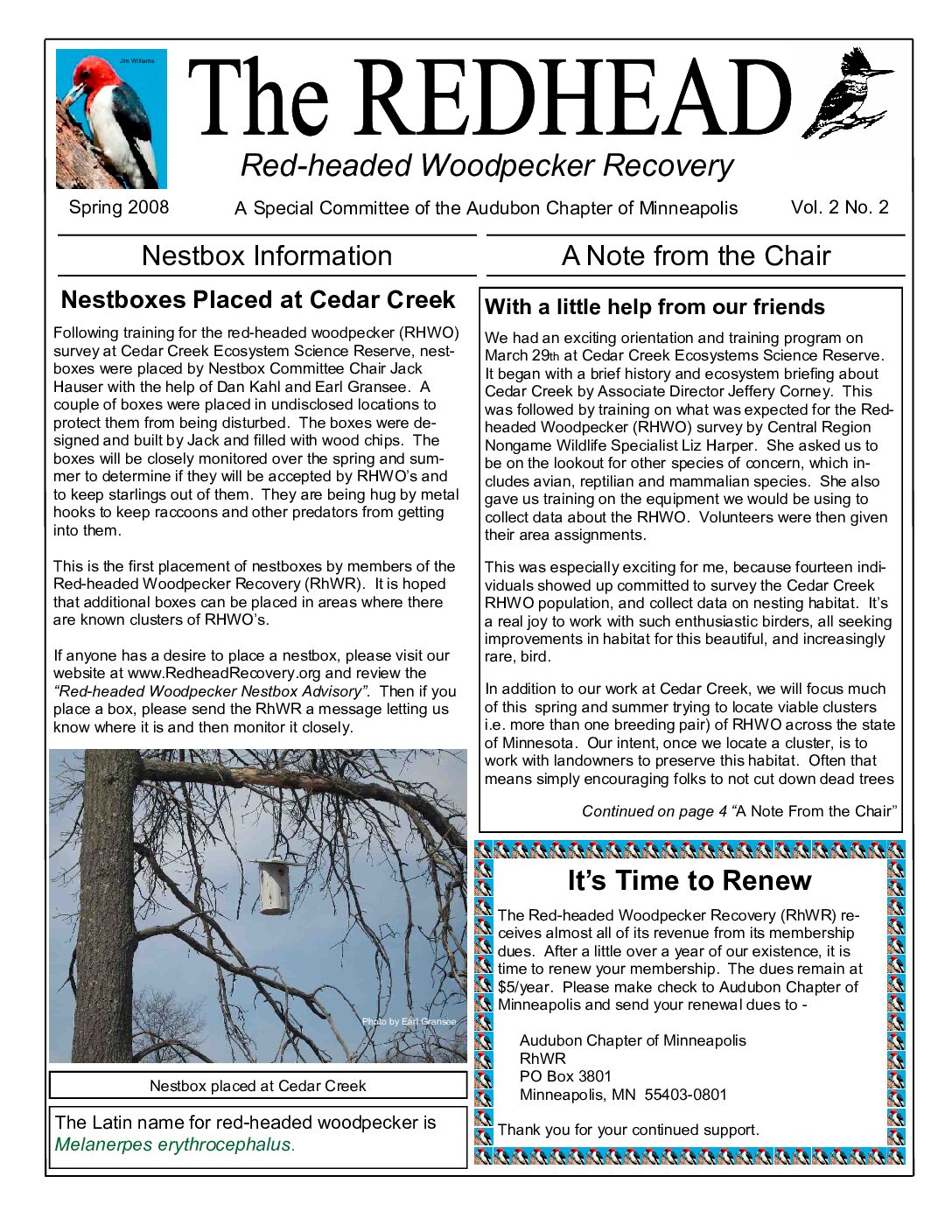 example newsletter.