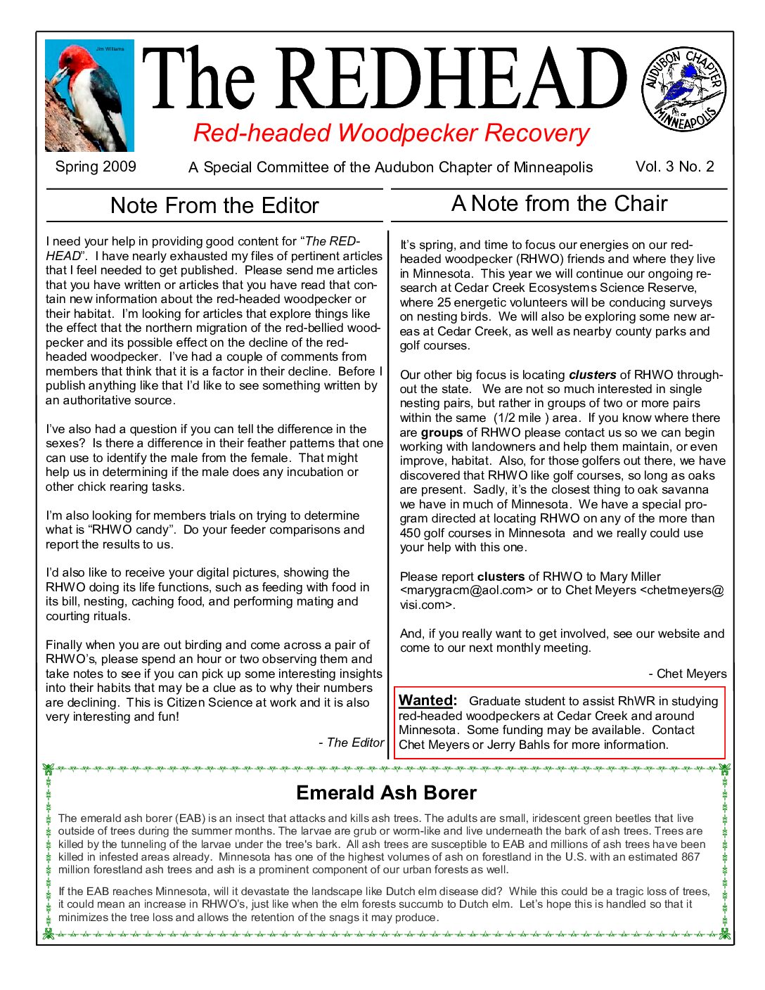 example newsletter.