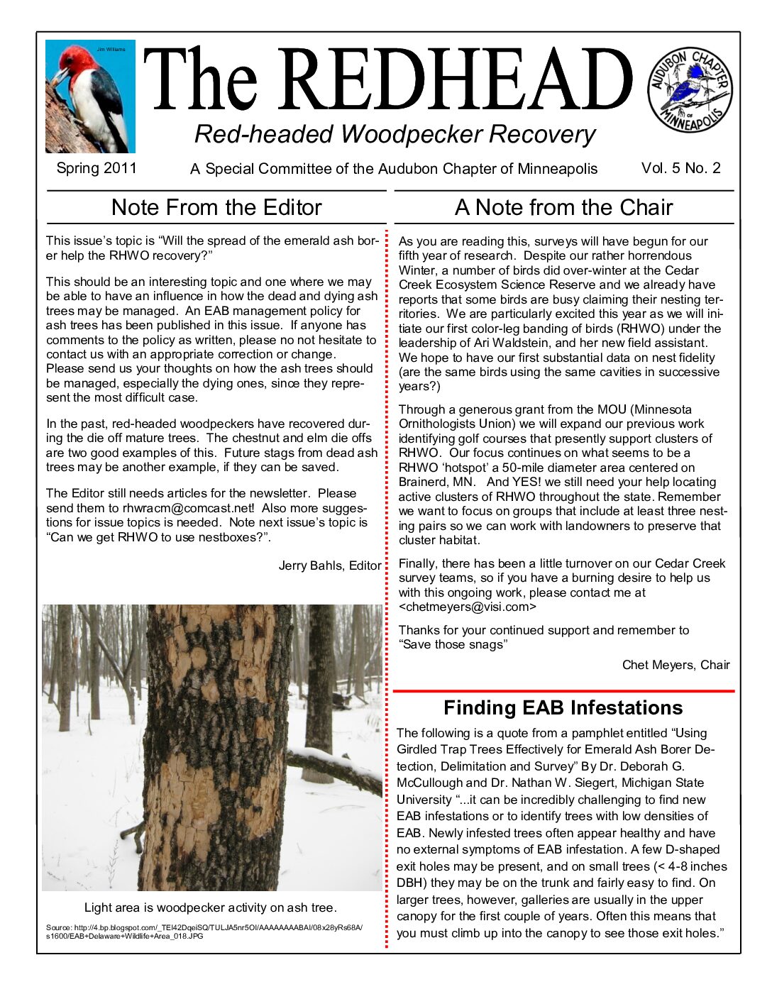 example newsletter.