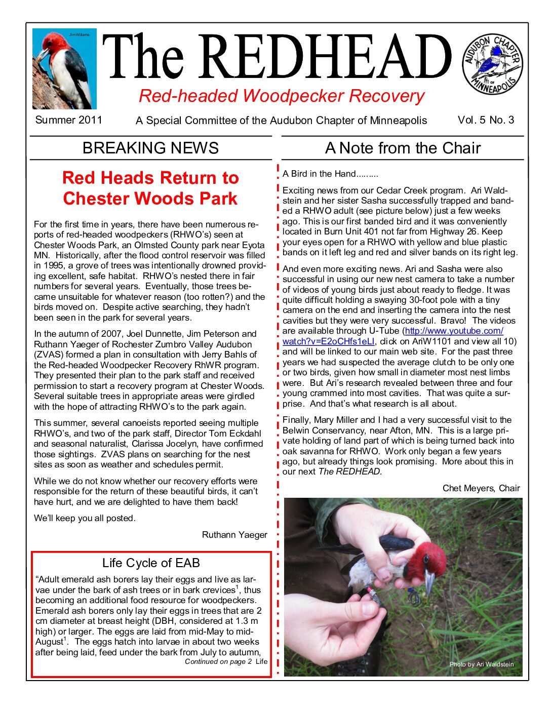 example newsletter.