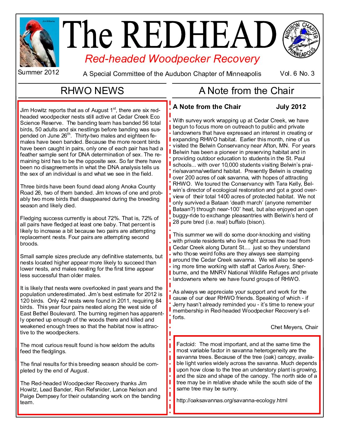 example newsletter.