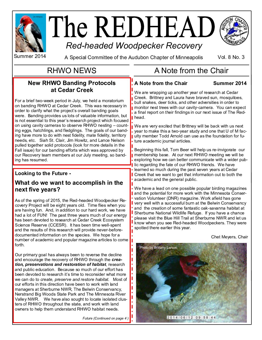 example newsletter.