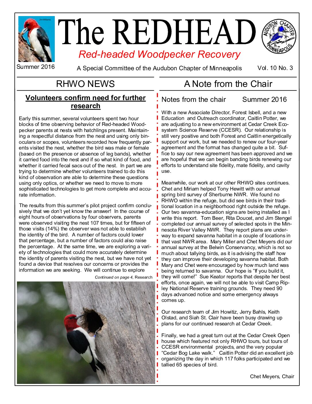 example newsletter.