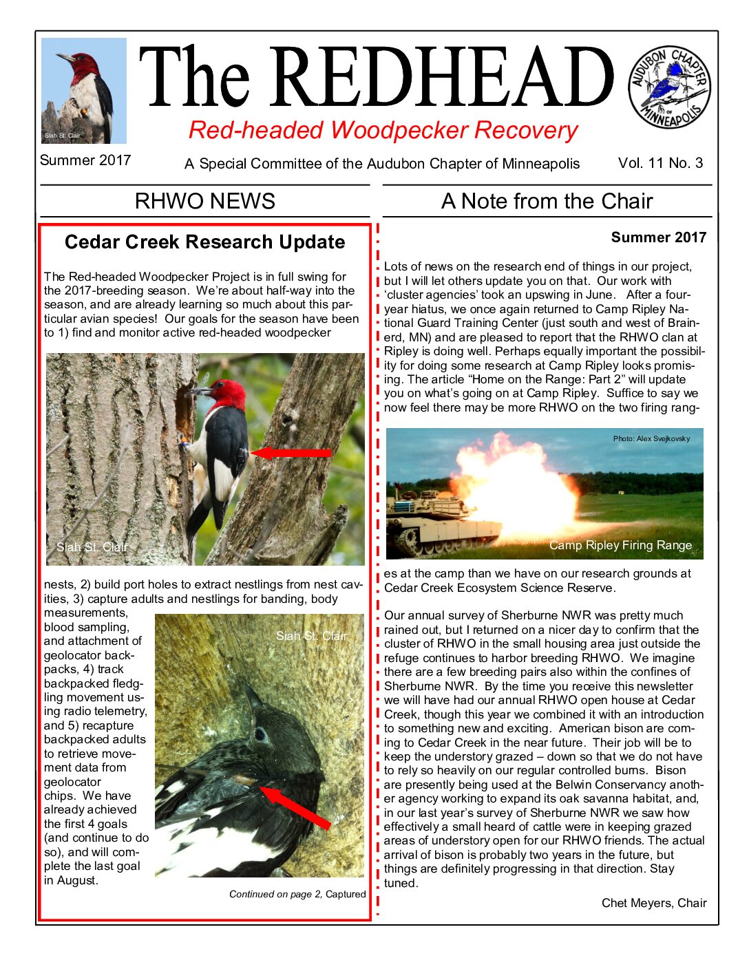 example newsletter.