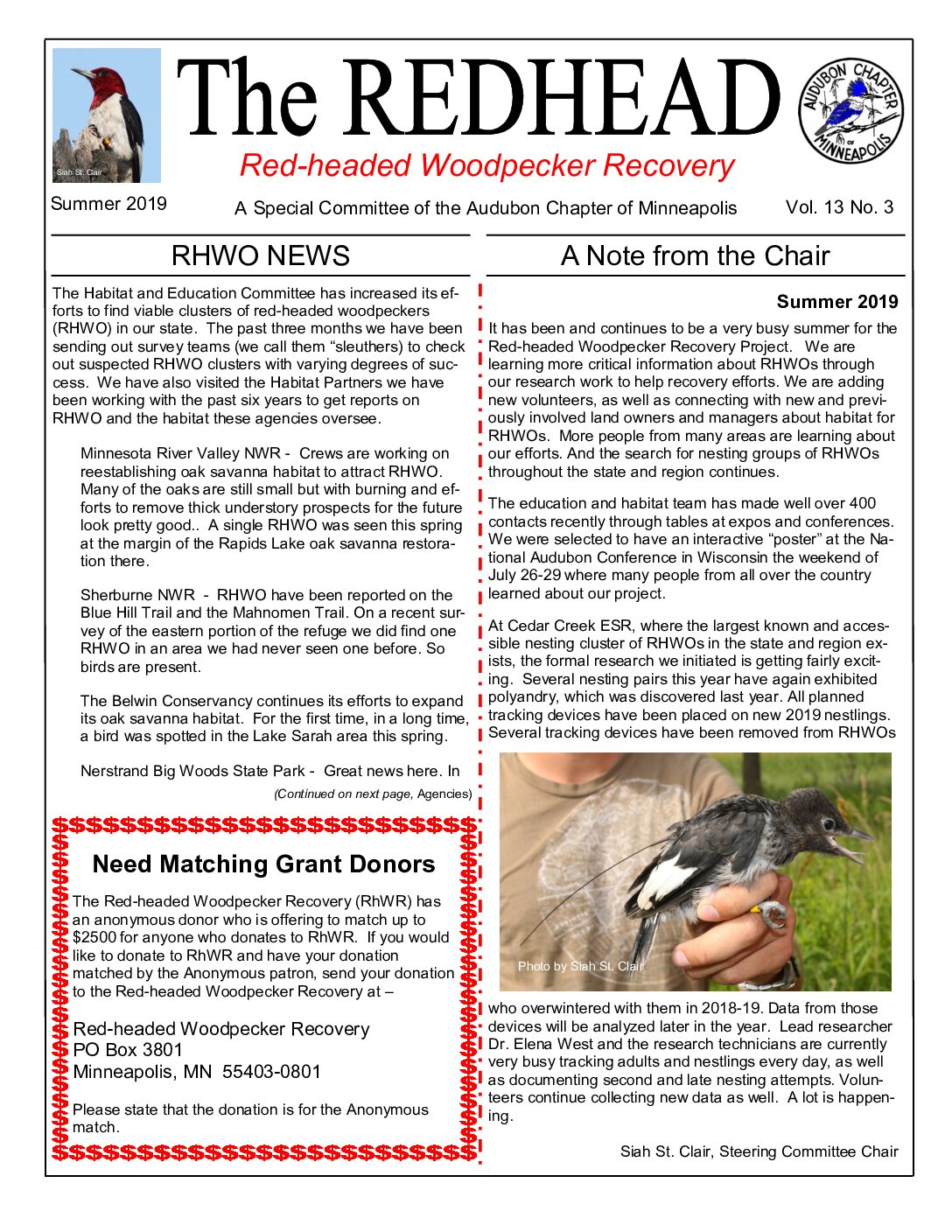 example newsletter.