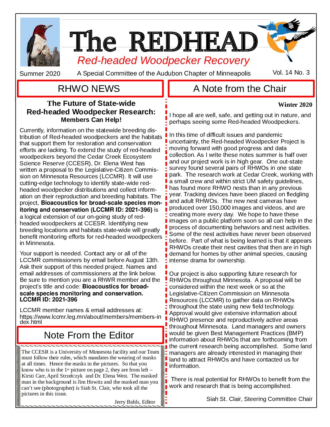 example newsletter.