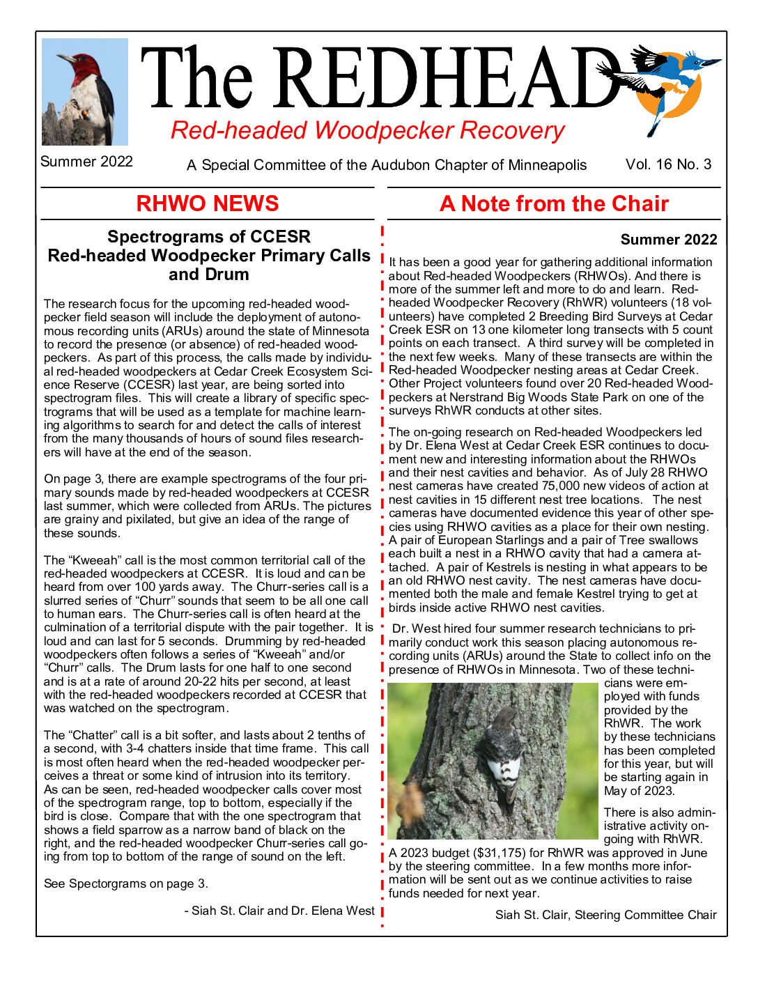 example newsletter.