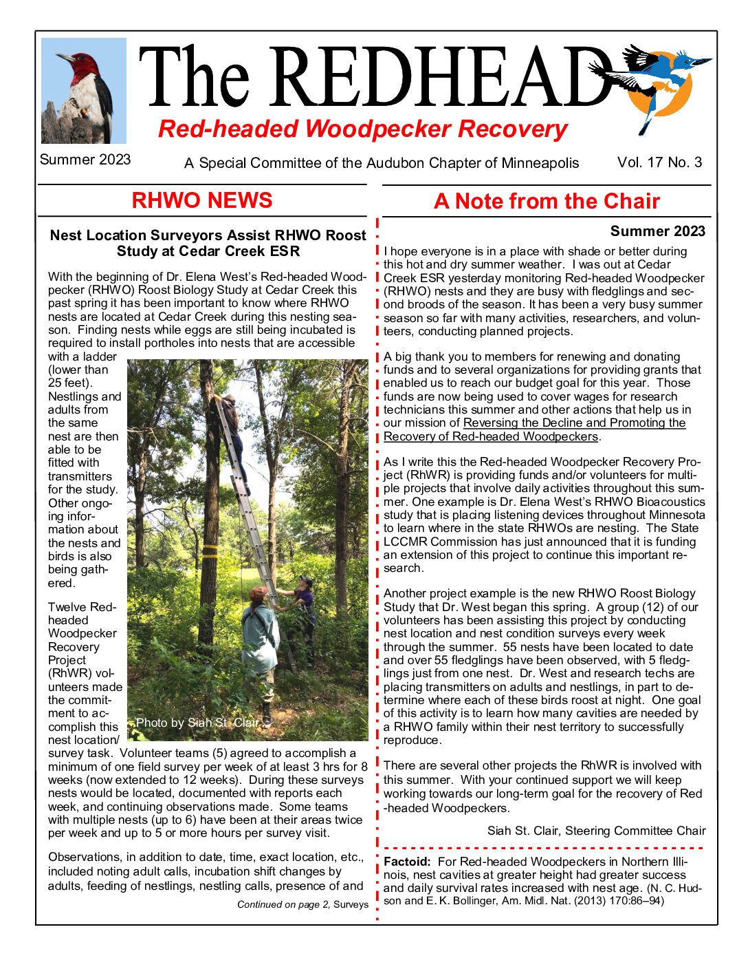 example newsletter.
