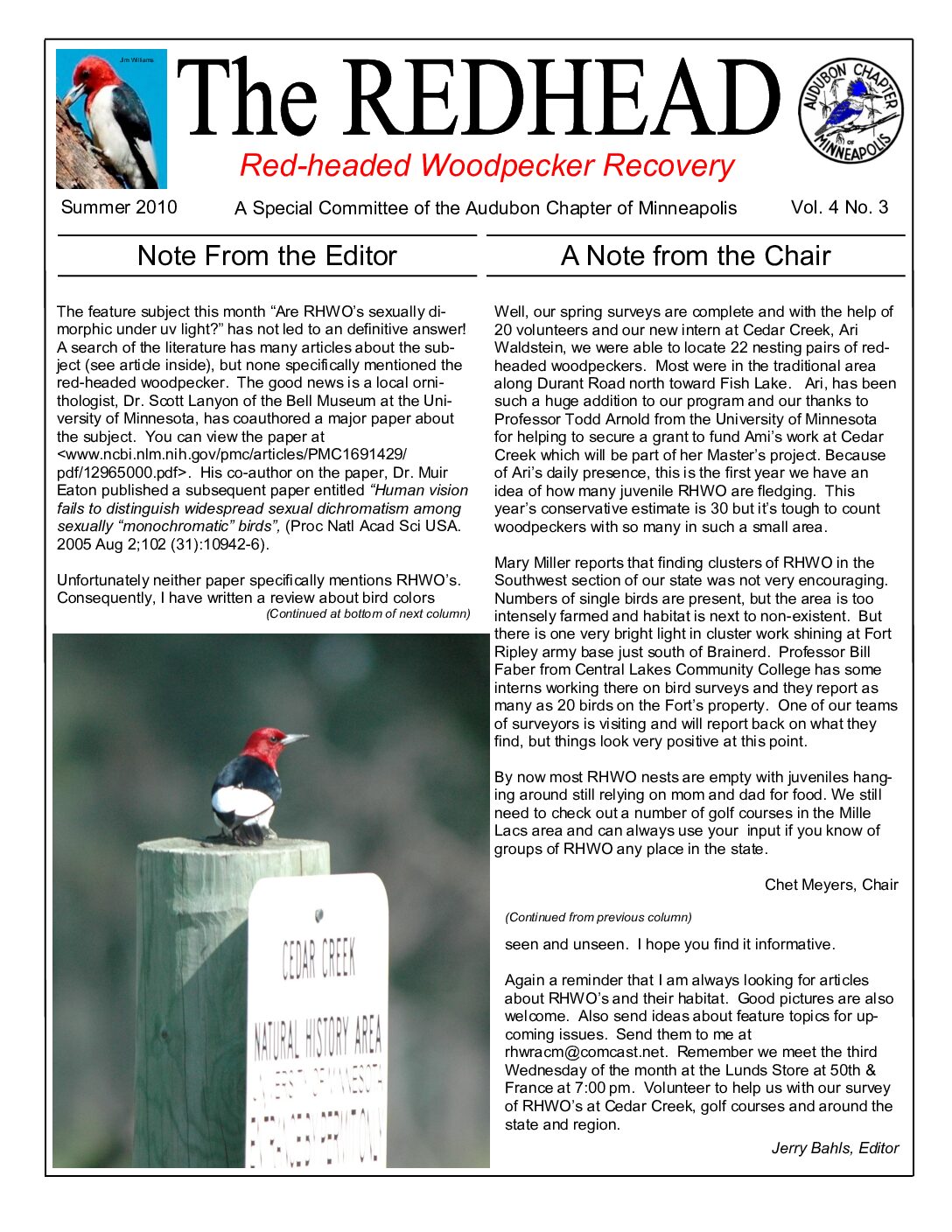 example newsletter.