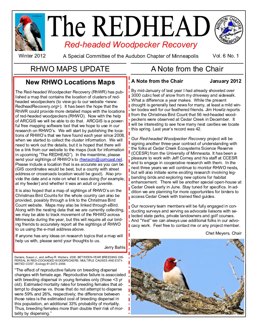 example newsletter.