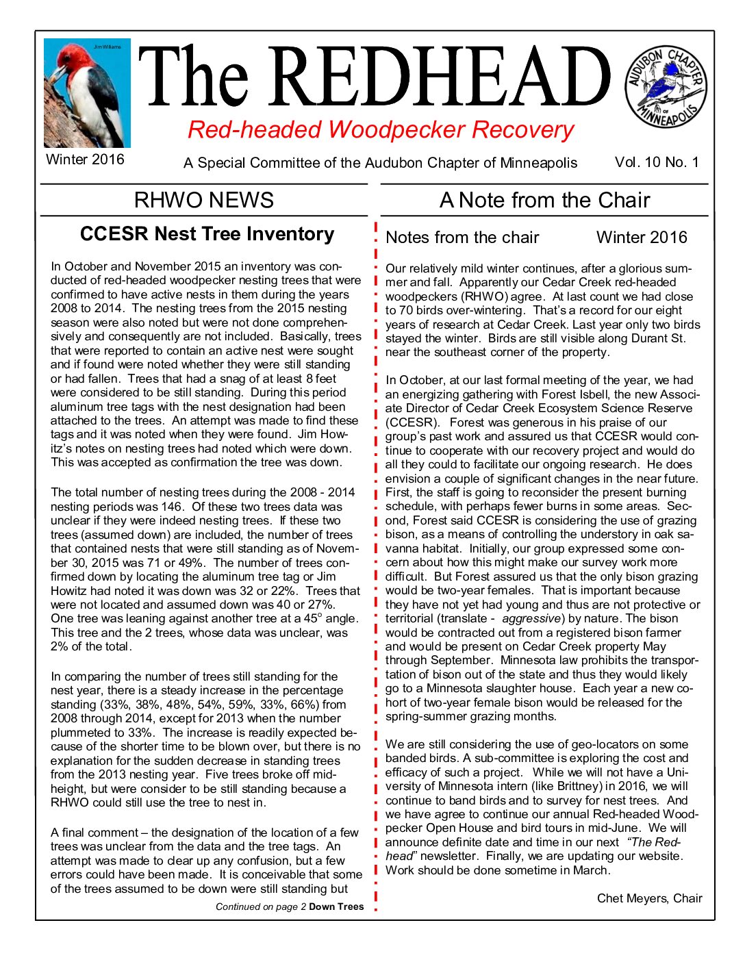 example newsletter.