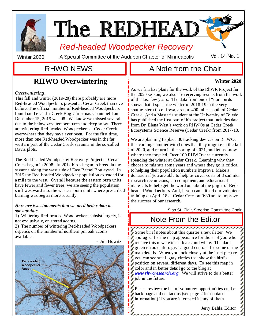 example newsletter.
