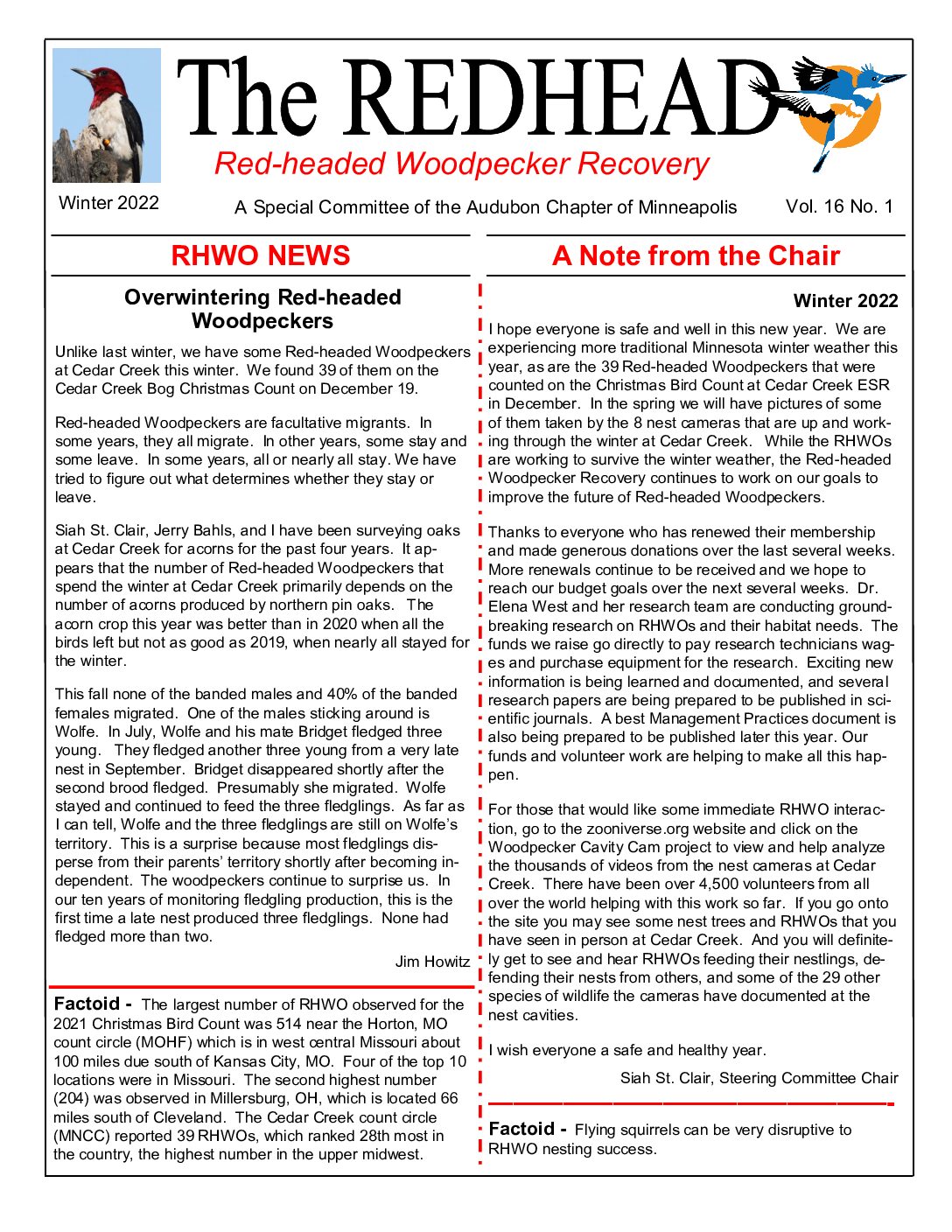 example newsletter.