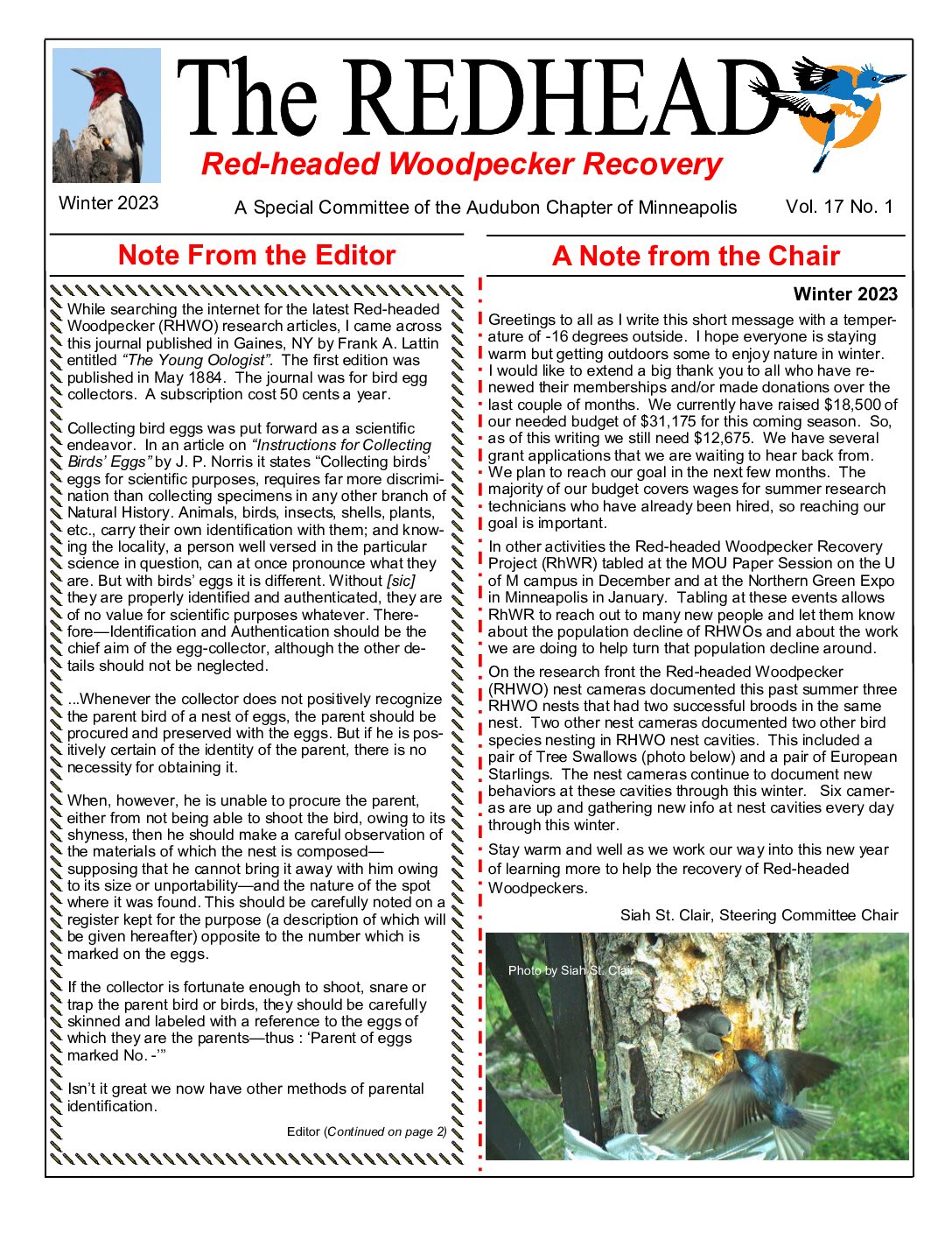 example newsletter.
