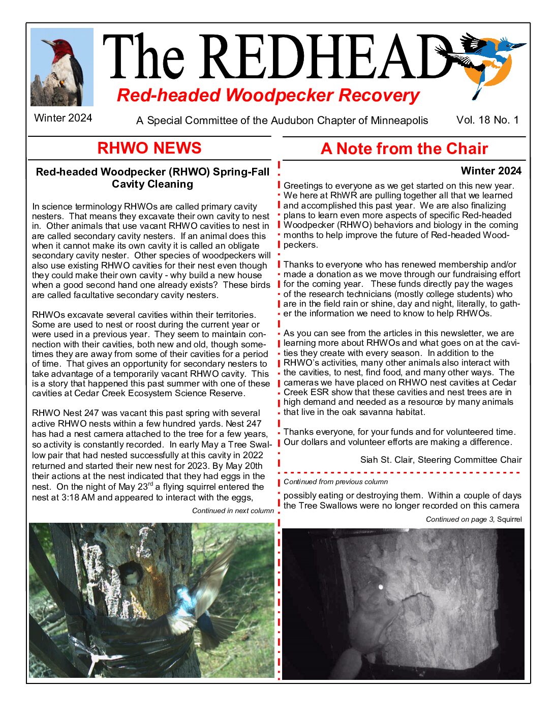 example newsletter.