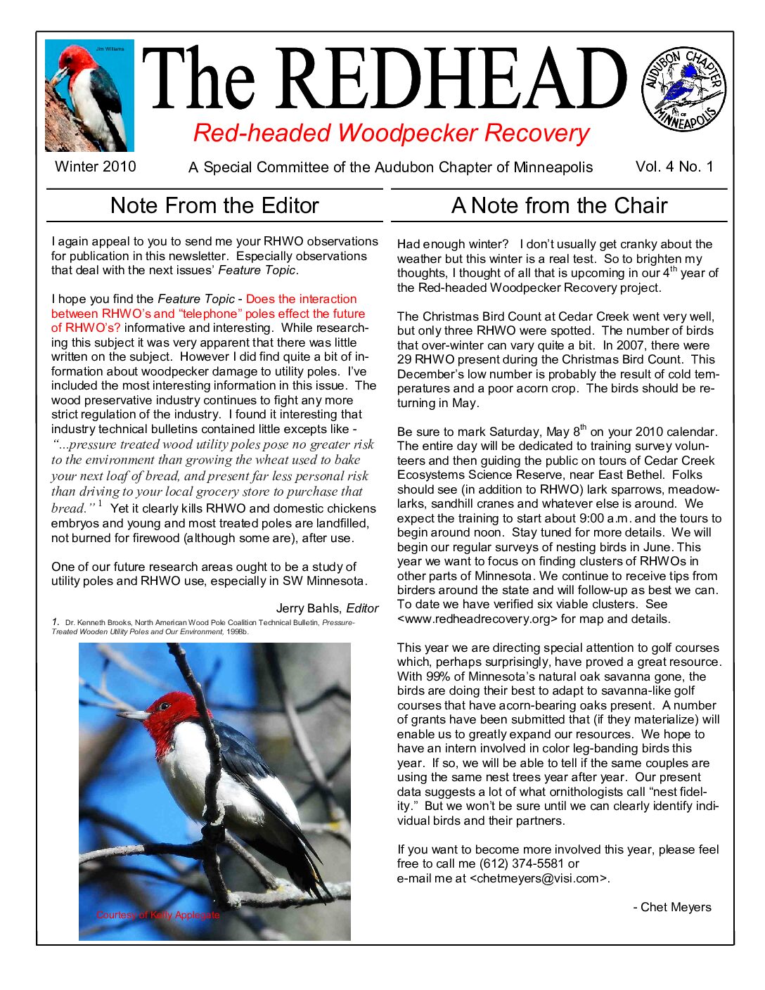 example newsletter.