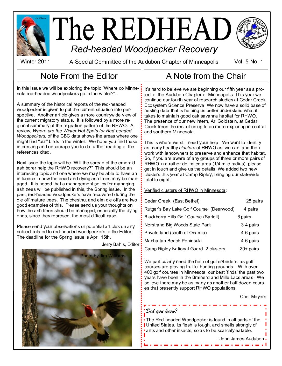 example newsletter.