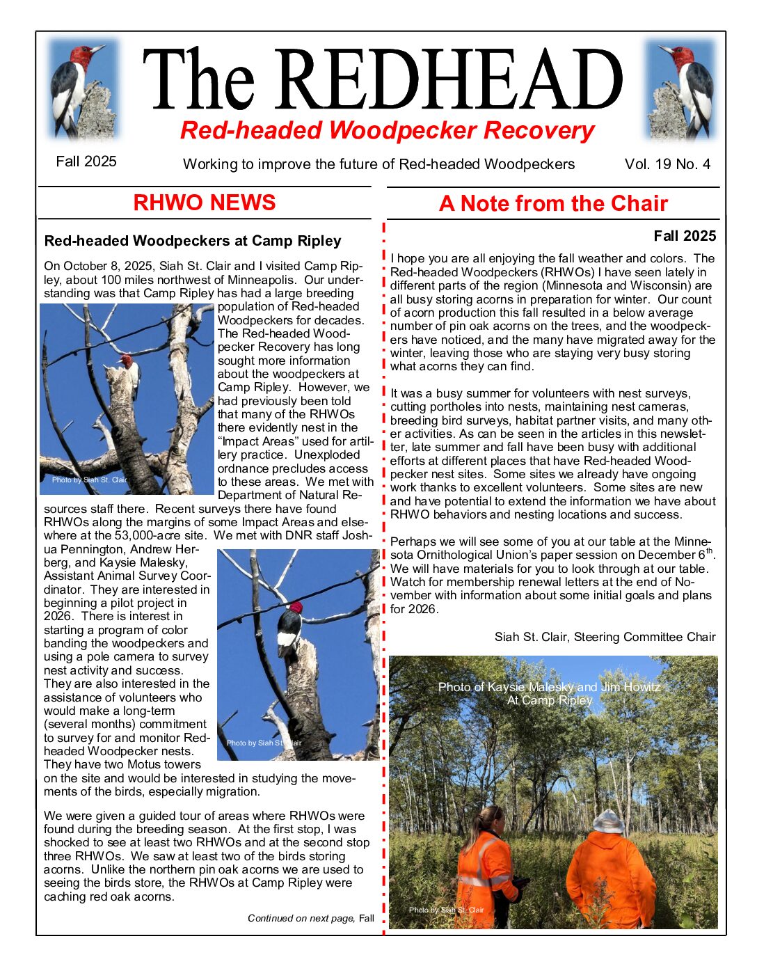 example newsletter.
