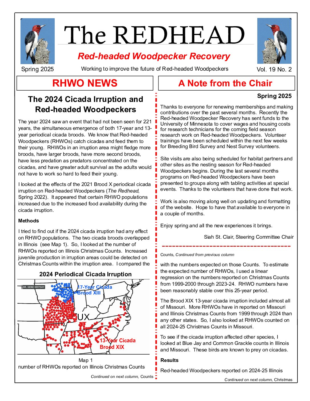 example newsletter.