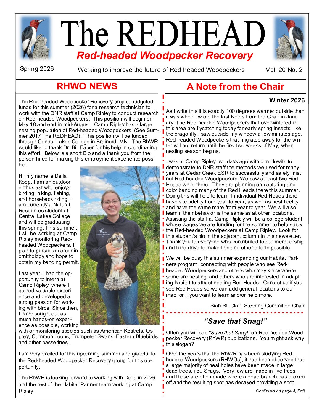 example newsletter.