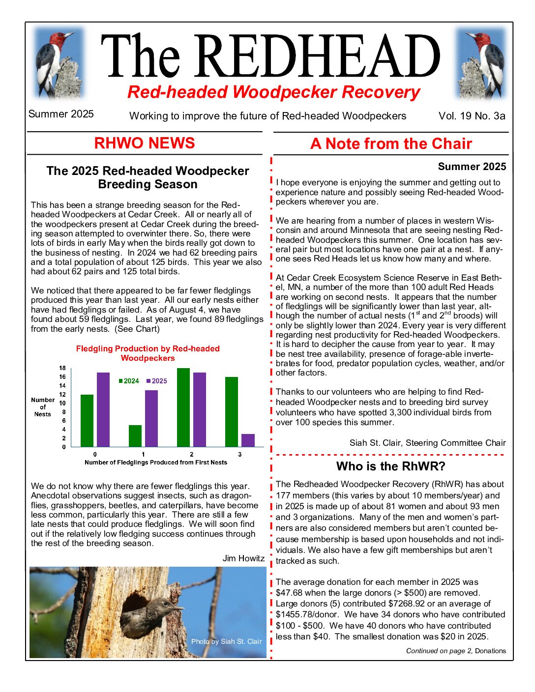 example newsletter.